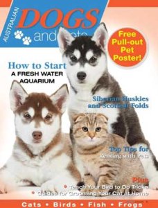Magazine Magic