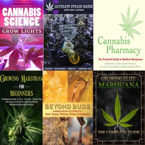 Marijuana - Everything A to Z