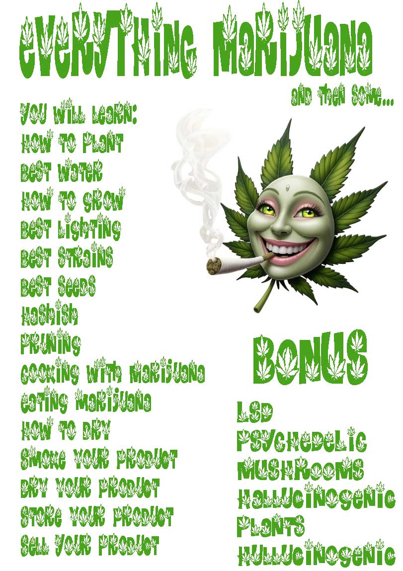 Marijuana-Banner.jpg